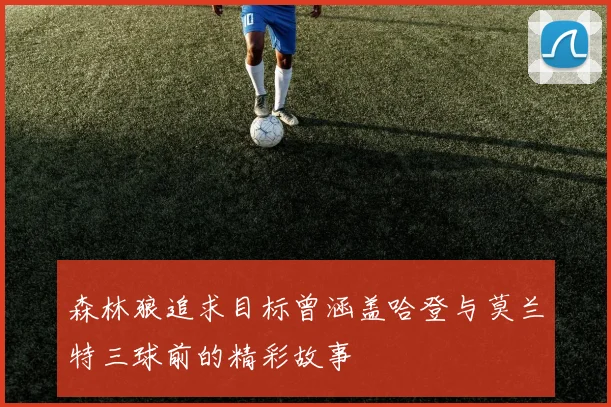森林狼追求目标曾涵盖哈登与莫兰特三球前的精彩故事