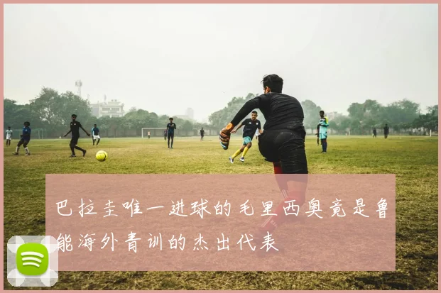 巴拉圭唯一进球的毛里西奥竟是鲁能海外青训的杰出代表