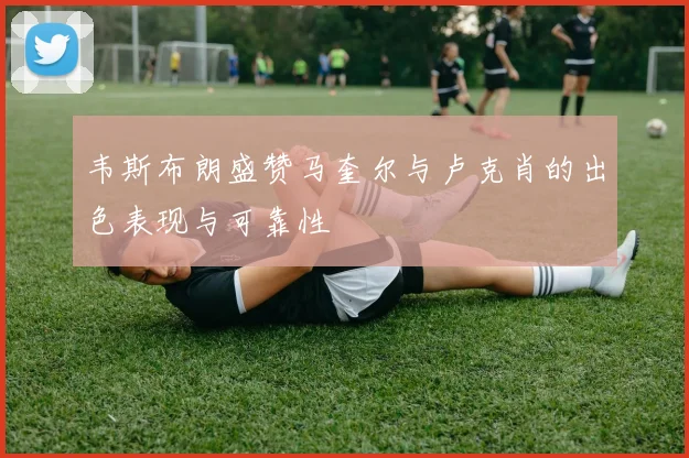 韦斯布朗盛赞马奎尔与卢克肖的出色表现与可靠性